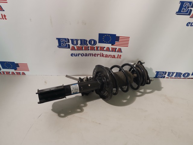 Strut Assembly